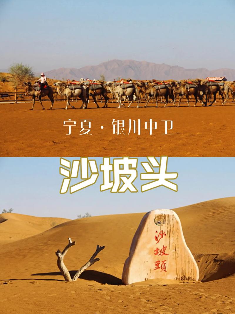 宁夏中卫沙坡头天气(宁夏中卫沙坡头天气如何)-第5张图片-文史 宁夏中卫沙坡头天气(宁夏中卫沙坡头天气如何)-第5张图片-文史