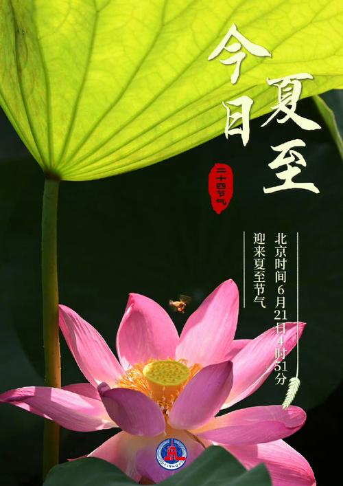 封开未来15天天气,封开天气15天预报