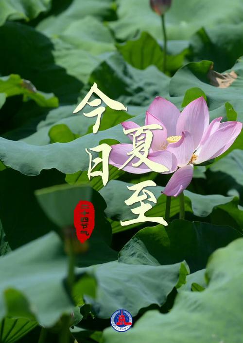 封开未来15天天气,封开天气15天预报-第2张图片-文史 封开未来15天天气,封开天气15天预报-第2张图片-文史