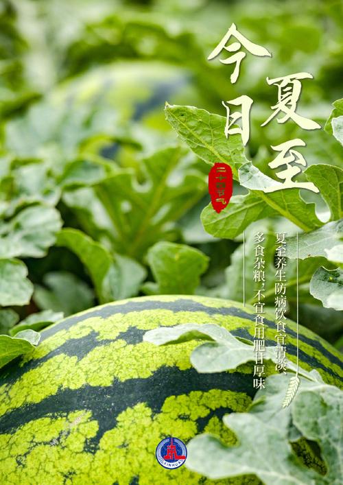 封开未来15天天气,封开天气15天预报-第4张图片-文史 封开未来15天天气,封开天气15天预报-第4张图片-文史