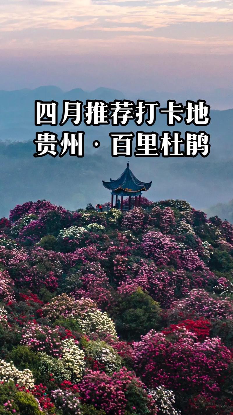 黔西天气预报30天,黔西天气预报30天准确-第4张图片-文史 黔西天气预报30天,黔西天气预报30天准确-第4张图片-文史