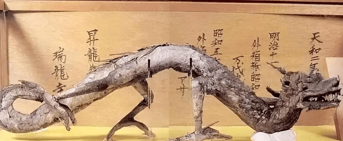 夏朝皇帝孔甲在位时间多长,孔甲是谁的后代-第5张图片-文史 夏朝皇帝孔甲在位时间多长,孔甲是谁的后代-第5张图片-文史