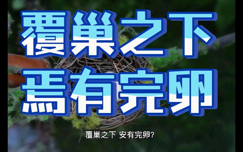 覆巢之下,焉有完卵中的主人公是谁(覆巢之下有完卵文言文译文)-第1张图片-文史 覆巢之下,焉有完卵中的主人公是谁(覆巢之下有完卵文言文译文)-第1张图片-文史