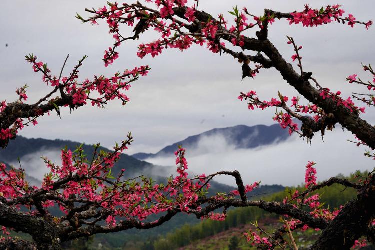 连平天气预报15,连平天气预报15天当地-第5张图片-文史 连平天气预报15,连平天气预报15天当地-第5张图片-文史