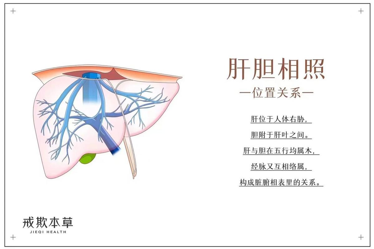 肝胆相照是什么意思,肝胆相照的本意是什么-第2张图片-文史 肝胆相照是什么意思,肝胆相照的本意是什么-第2张图片-文史