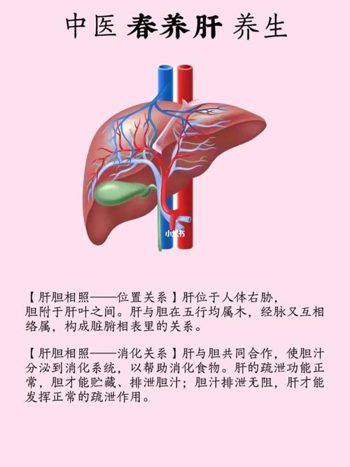肝胆相照是什么意思,肝胆相照的本意是什么-第5张图片-文史 肝胆相照是什么意思,肝胆相照的本意是什么-第5张图片-文史