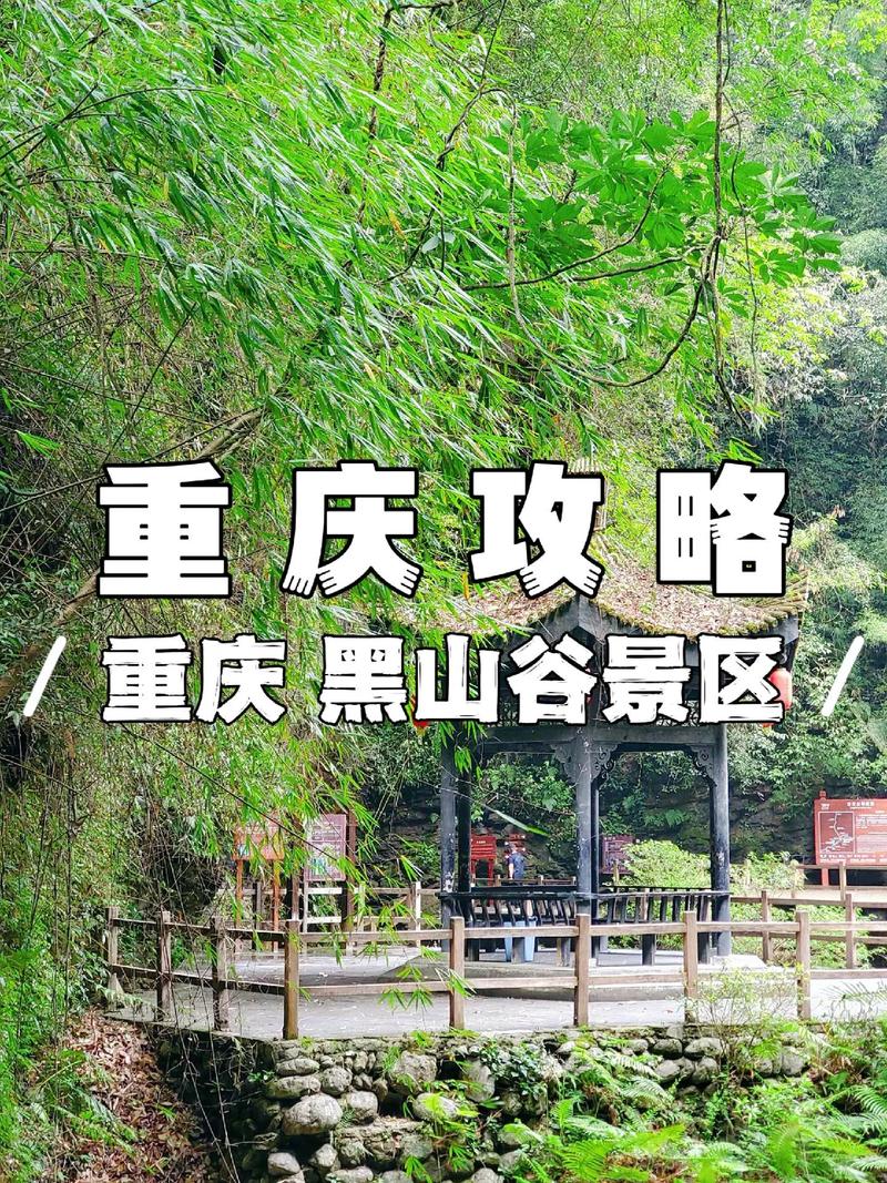 万盛区黑山镇天气,重庆万盛区黑山镇天气预报-第2张图片-文史 万盛区黑山镇天气,重庆万盛区黑山镇天气预报-第2张图片-文史