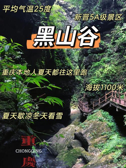 万盛区黑山镇天气,重庆万盛区黑山镇天气预报-第4张图片-文史 万盛区黑山镇天气,重庆万盛区黑山镇天气预报-第4张图片-文史