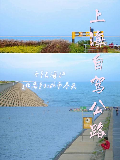 自驾车去上海能进去吗,自驾车去上海能进去吗政策-第6张图片-文史 自驾车去上海能进去吗,自驾车去上海能进去吗政策-第6张图片-文史