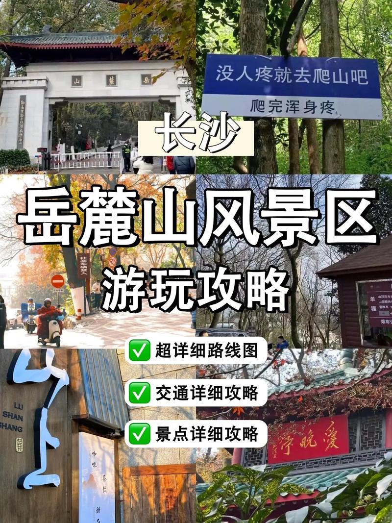 长沙岳麓区天气预报(长沙岳麓区天气预报15天查询)-第4张图片-文史 长沙岳麓区天气预报(长沙岳麓区天气预报15天查询)-第4张图片-文史