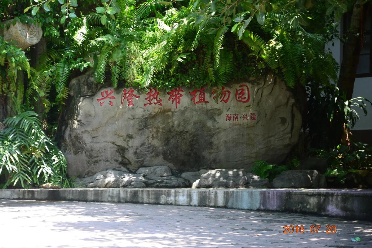 万宁兴隆天气预报（万宁兴隆天气预报7天）