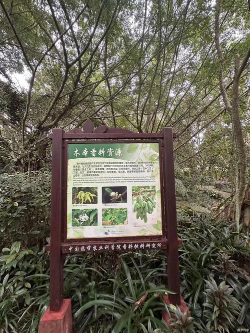 万宁兴隆天气预报(万宁兴隆天气预报7天)-第3张图片-文史 万宁兴隆天气预报(万宁兴隆天气预报7天)-第3张图片-文史