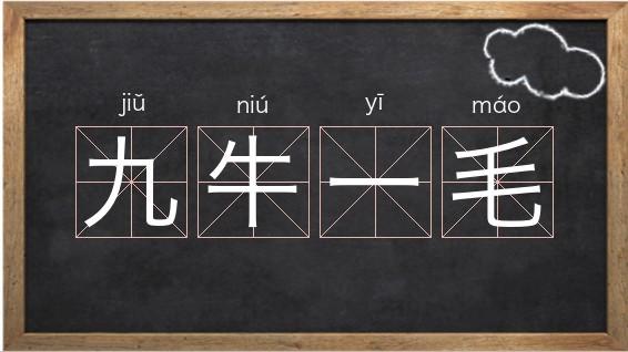 成语九牛一毛的故事,九牛一毛成语故事告诉我们什么道理