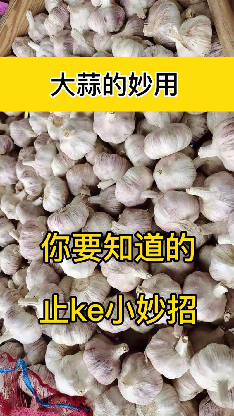 金乡县天气预报最新(金乡县天气预报最新天气预报)-第6张图片-文史 金乡县天气预报最新(金乡县天气预报最新天气预报)-第6张图片-文史