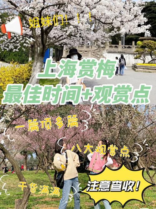 合肥新站区天气预报(合肥新站区天气预报7天)-第4张图片-文史 合肥新站区天气预报(合肥新站区天气预报7天)-第4张图片-文史