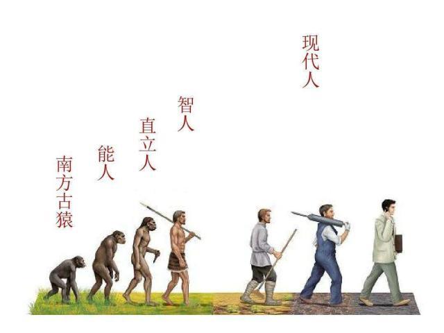 人类是怎么进化的(人类是怎么进化的视频)-第6张图片-文史 人类是怎么进化的(人类是怎么进化的视频)-第6张图片-文史
