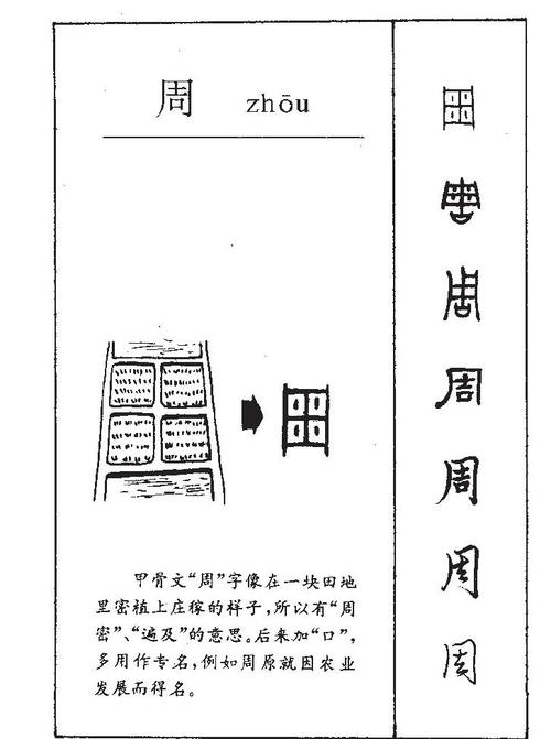 揭周族的起源与先周世系,周族最初的势力范围在哪个区域
