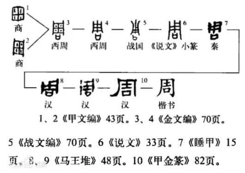 揭周族的起源与先周世系,周族最初的势力范围在哪个区域-第6张图片-文史 揭周族的起源与先周世系,周族最初的势力范围在哪个区域-第6张图片-文史