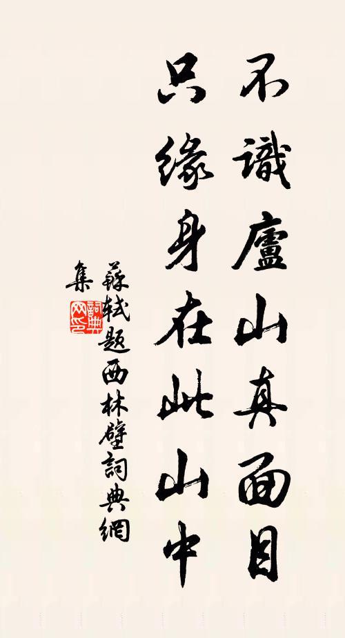 不识庐山真面目的意思是什么,不识庐山真面目的意思是什么意思-第6张图片-文史 不识庐山真面目的意思是什么,不识庐山真面目的意思是什么意思-第6张图片-文史