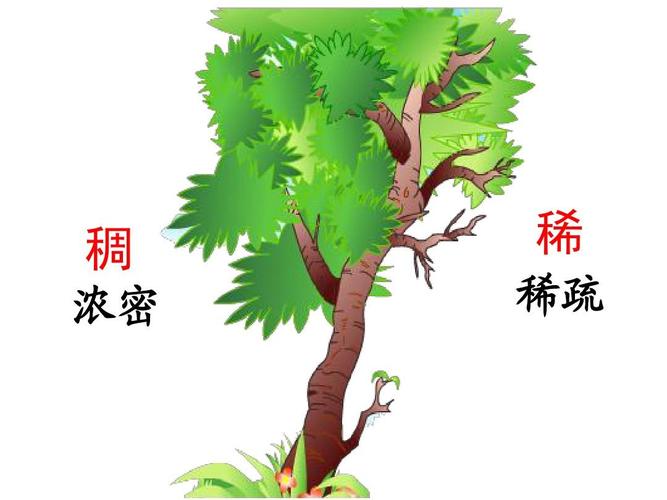 盘根错节有什么历史典故(盘根错节)-第4张图片-文史 盘根错节有什么历史典故(盘根错节)-第4张图片-文史