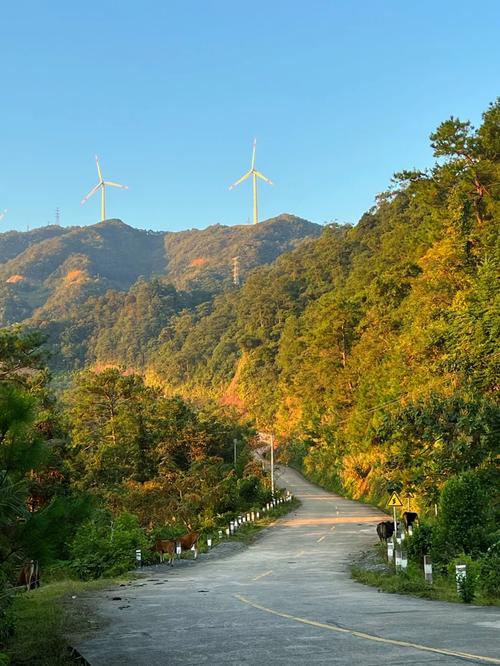罗定实时天气预报,罗定即时天气-第6张图片-文史 罗定实时天气预报,罗定即时天气-第6张图片-文史