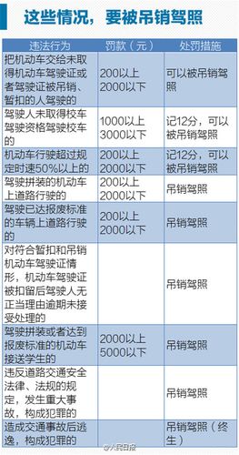 郑州限号怎么处罚,郑州限号怎么处罚2023-第8张图片-文史 郑州限号怎么处罚,郑州限号怎么处罚2023-第8张图片-文史