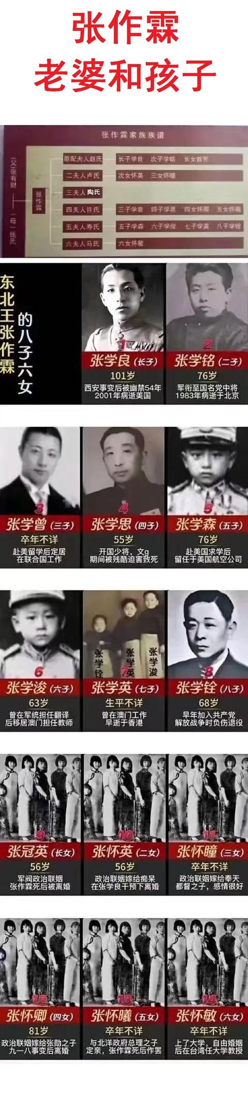 张作霖的父亲是谁(张作霖的父亲简介)-第6张图片-文史 张作霖的父亲是谁(张作霖的父亲简介)-第6张图片-文史