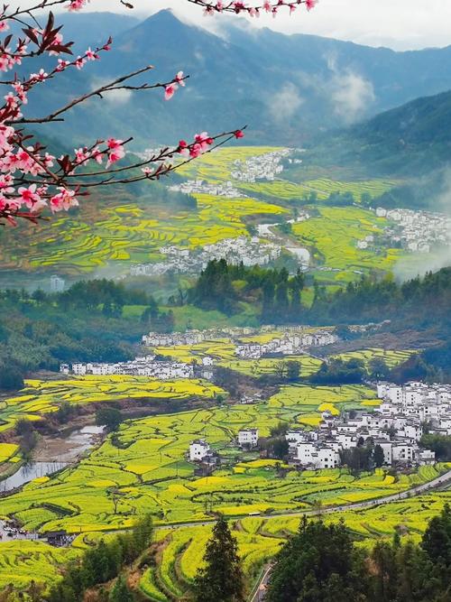 江西省婺源天气预报(江西省婺源天气预报15天查询百度地图)-第3张图片-文史 江西省婺源天气预报(江西省婺源天气预报15天查询百度地图)-第3张图片-文史