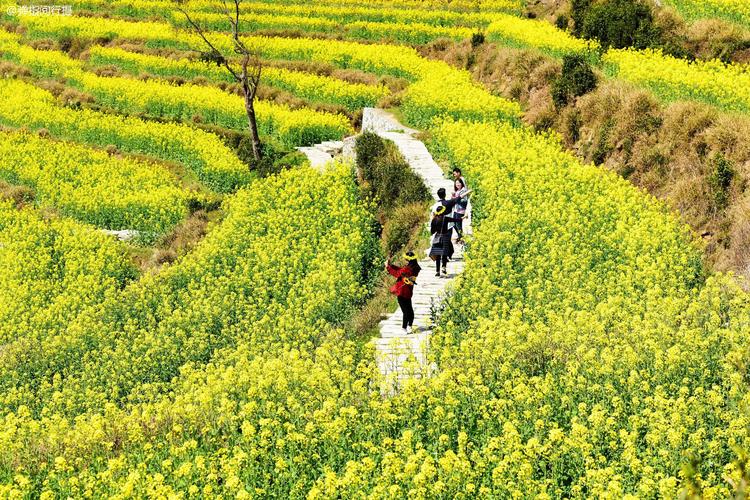 江西省婺源天气预报(江西省婺源天气预报15天查询百度地图)-第4张图片-文史 江西省婺源天气预报(江西省婺源天气预报15天查询百度地图)-第4张图片-文史
