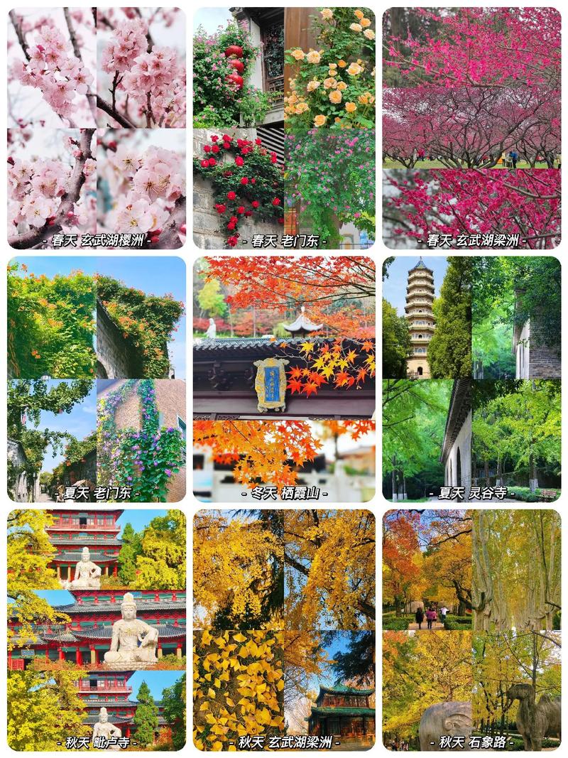江苏南京天气情况,江苏南京的天气状况-第2张图片-文史 江苏南京天气情况,江苏南京的天气状况-第2张图片-文史