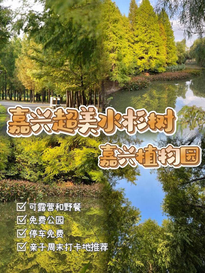 海盐南北湖天气预报,海盐南北湖天气预报15天查询最新消息