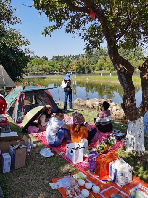 海盐南北湖天气预报,海盐南北湖天气预报15天查询最新消息-第6张图片-文史 海盐南北湖天气预报,海盐南北湖天气预报15天查询最新消息-第6张图片-文史
