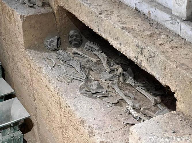 揭秘商武丁妻子妇好的死亡真相(商代武丁)-第5张图片-文史 揭秘商武丁妻子妇好的死亡真相(商代武丁)-第5张图片-文史
