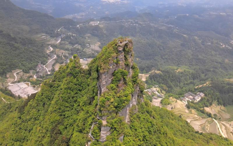 南川风吹岭天气预报(南川风吹岭露营攻略最新)-第1张图片-文史 南川风吹岭天气预报(南川风吹岭露营攻略最新)-第1张图片-文史