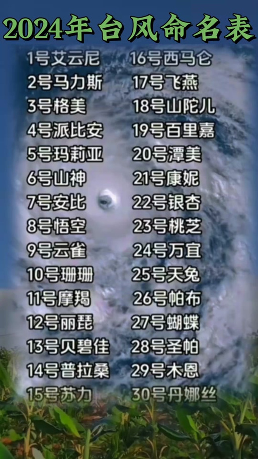 宁波天气有台风吗,宁波台风天气多吗