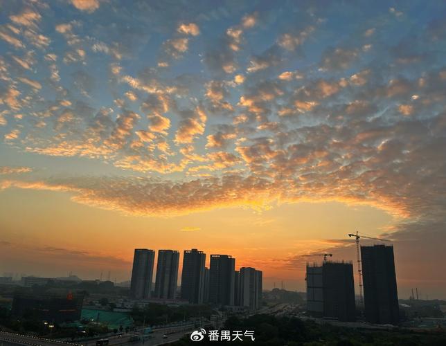 广州番禺区天气实时,广州市番禺区天气预报精准-第2张图片-文史 广州番禺区天气实时,广州市番禺区天气预报精准-第2张图片-文史