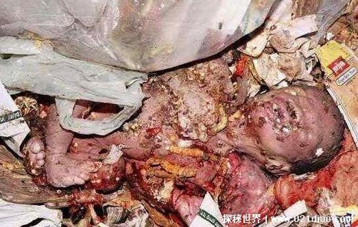 秦三世赢子婴是怎么死的,赢子婴 和秦始皇关系-第3张图片-文史 秦三世赢子婴是怎么死的,赢子婴 和秦始皇关系-第3张图片-文史