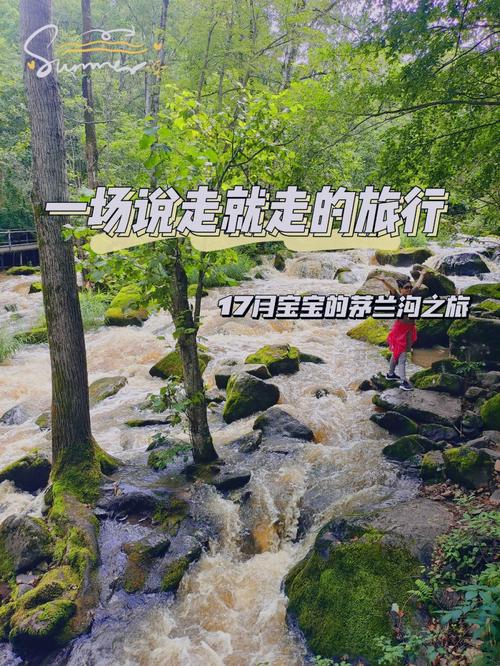 伊春市天气预报十天,伊春天气预报15天查询2345-第5张图片-文史 伊春市天气预报十天,伊春天气预报15天查询2345-第5张图片-文史