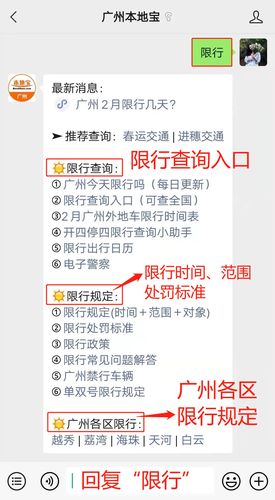 外地车牌可以去广州市吗(外地车牌可以进广州嘛)-第5张图片-文史 外地车牌可以去广州市吗(外地车牌可以进广州嘛)-第5张图片-文史