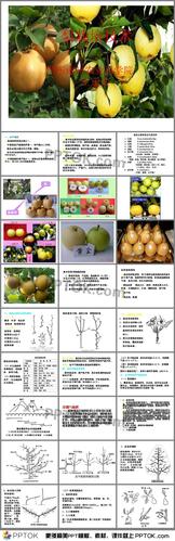 砀山天气预报60天(砀山天气30天预报)-第2张图片-文史 砀山天气预报60天(砀山天气30天预报)-第2张图片-文史