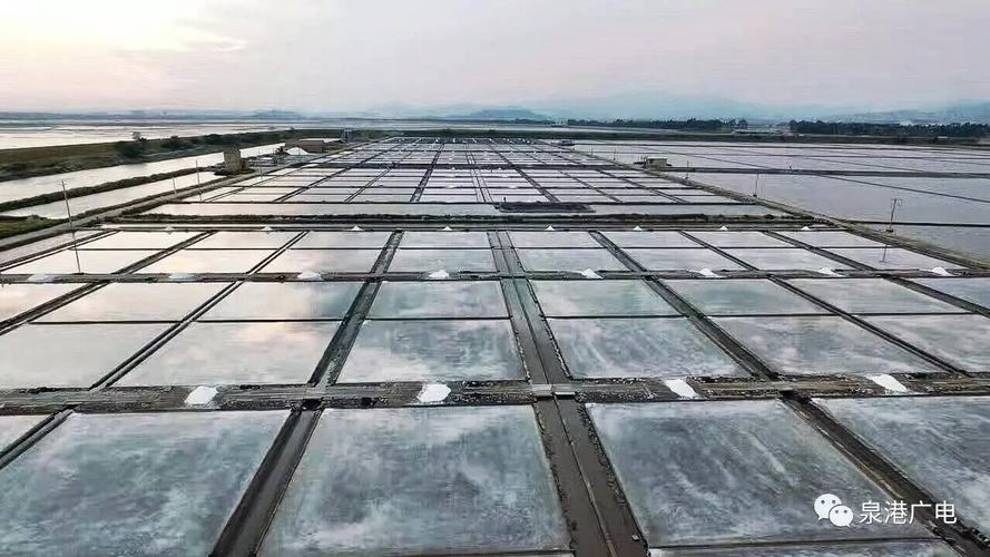 海盐历史天气查询(海盐历史天气查询记录)-第4张图片-文史 海盐历史天气查询(海盐历史天气查询记录)-第4张图片-文史