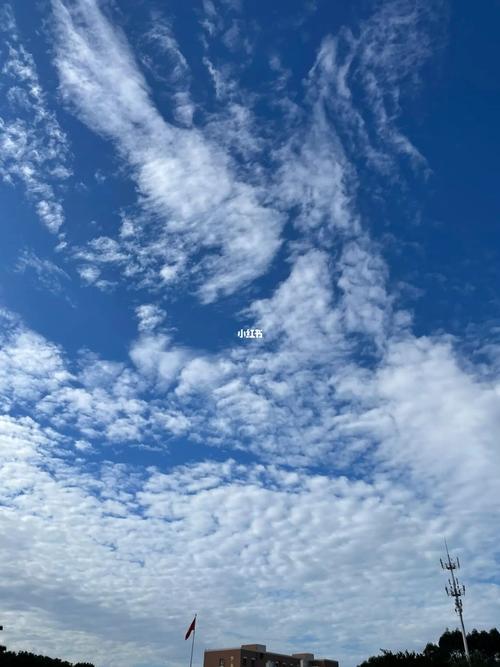 阳新天气预报60天,阳新天气预报60天查询表-第4张图片-文史 阳新天气预报60天,阳新天气预报60天查询表-第4张图片-文史