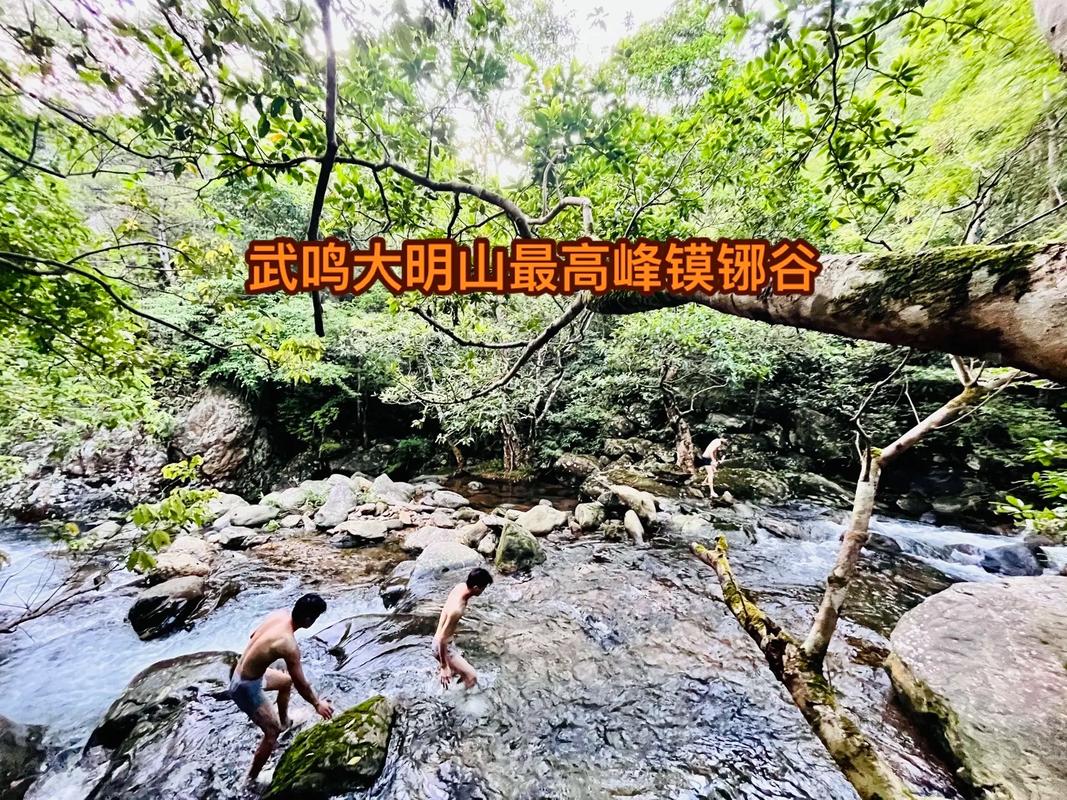 广西南宁武鸣天气,广西南宁武鸣天气11月11-第4张图片-文史 广西南宁武鸣天气,广西南宁武鸣天气11月11-第4张图片-文史