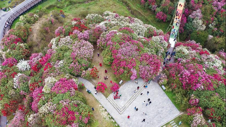 贵州毕节大方天气(贵州毕节大方天气预报一个月30天)-第6张图片-文史 贵州毕节大方天气(贵州毕节大方天气预报一个月30天)-第6张图片-文史