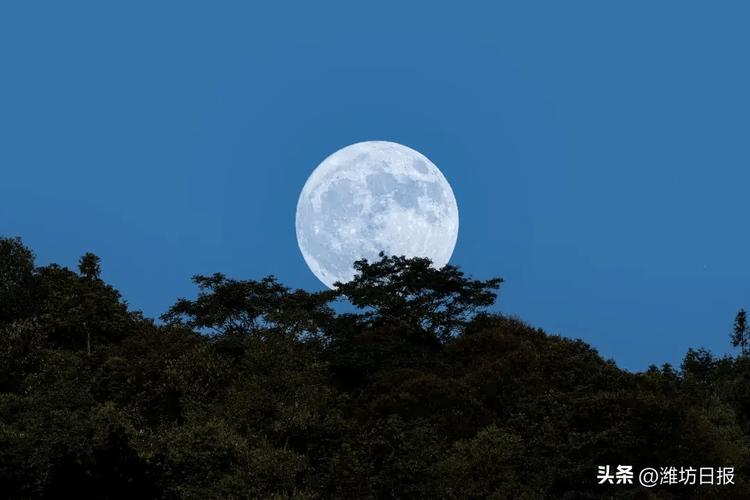 虎林15天天气预报,虎林15天天气预报15天-第4张图片-文史 虎林15天天气预报,虎林15天天气预报15天-第4张图片-文史
