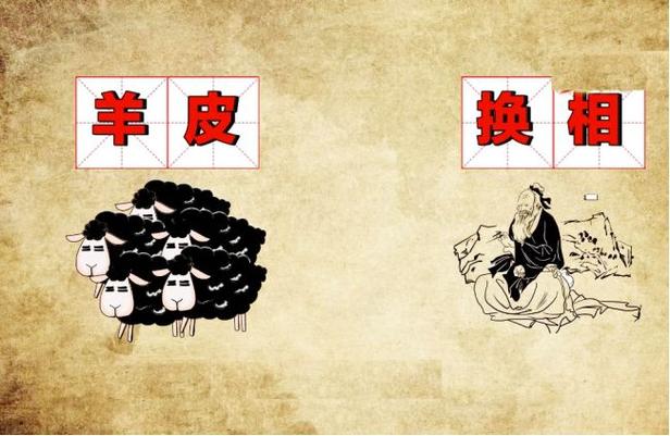 羊皮换相有怎样的故事（羊皮换相有怎样的故事呢）