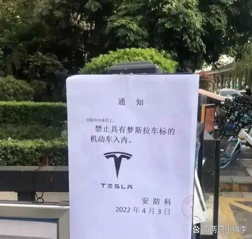 特斯拉不让进政府机关,特斯拉不让进政府机关的原因2023-第5张图片-文史 特斯拉不让进政府机关,特斯拉不让进政府机关的原因2023-第5张图片-文史