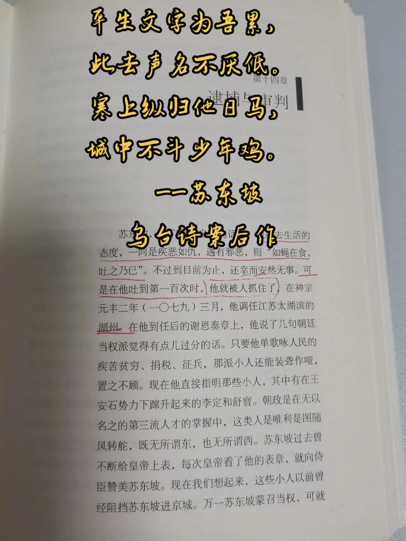 历史上“乌台诗案”的受害人是谁(乌台诗案谁记录的)-第4张图片-文史 历史上“乌台诗案”的受害人是谁(乌台诗案谁记录的)-第4张图片-文史