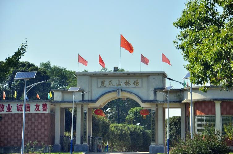 京山天气实时预报,京山天气实时预报15天-第4张图片-文史 京山天气实时预报,京山天气实时预报15天-第4张图片-文史