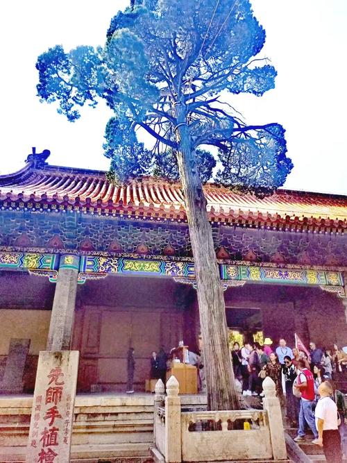投鼠忌器的主人公是谁(投鼠忌器原文)-第3张图片-文史 投鼠忌器的主人公是谁(投鼠忌器原文)-第3张图片-文史